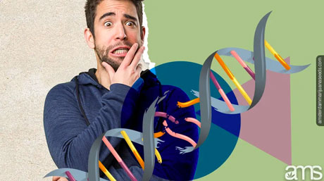 polyploid cannabis-dna
