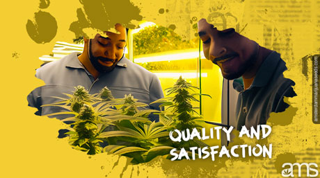 amsterdam seed bank quality
