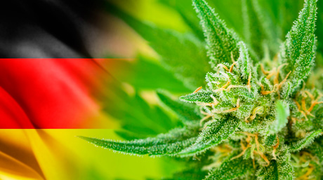 Allemagne Cannabis Légal