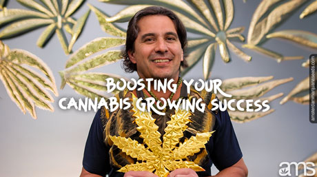 man awarded with a golden cannabis leaf