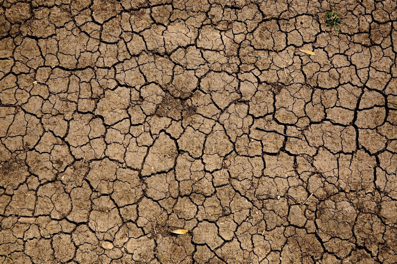 Dry ground
