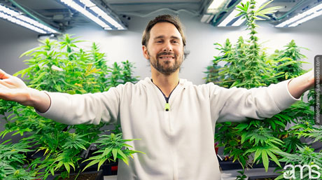indoor cannabis grow space 
