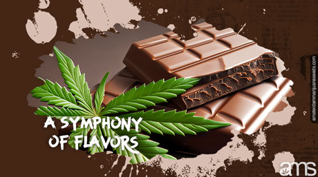 cannabis geïnfuseerde Zwitserse chocolade