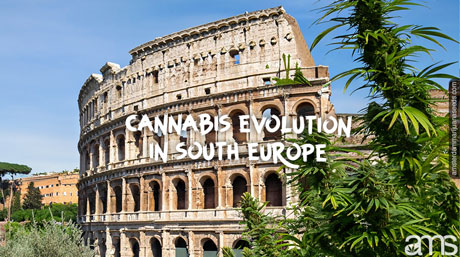 cannabis evolution in south Europe Colosseum in Rome and cannabis plants