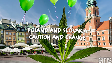 Slovakya'da Esrar Düzenlemesi