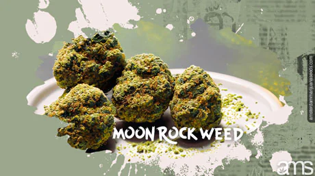 moon rock weed en delikatess för gourmander