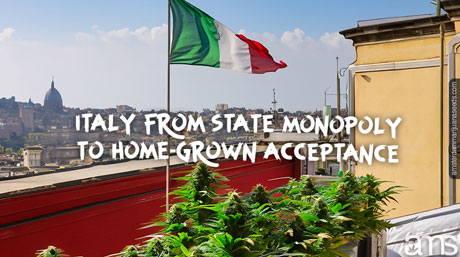 Italy from state monopoly to home-grown acceptance view of Naples in Italy and cannabis plants