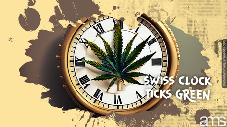 Zwitserse klok cannabisblad