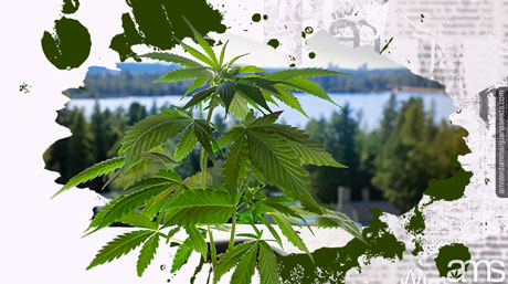Cannabis Kanada