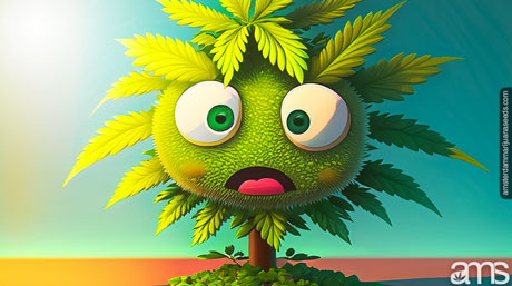managing excessive temperatures when growing cannabis 