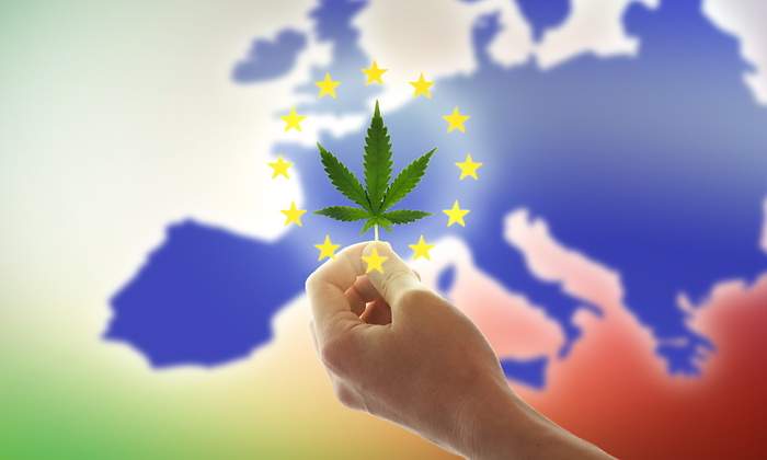 Cannabis Médical Europe