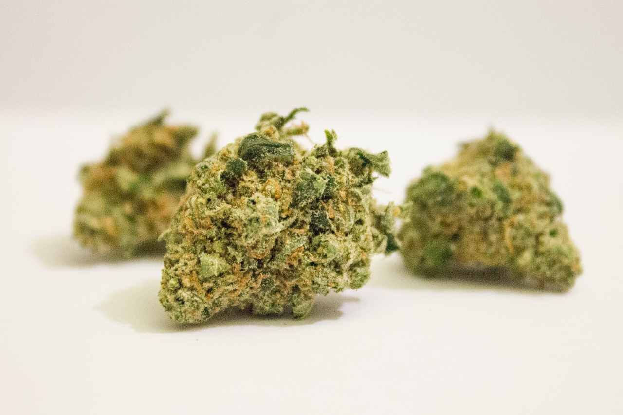 Narco cannabis strain