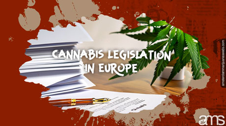 législation européenne sur le cannabis légalisation du cannabis en Europe
