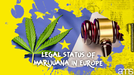statut légal marijuana Europe