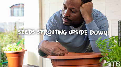 bored man looks at the plant that does not germinate
