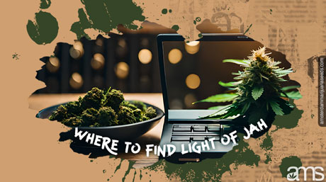 marijuana seeds purchased online
