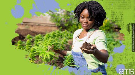 Mujer en su cultivo basado en el suelo.