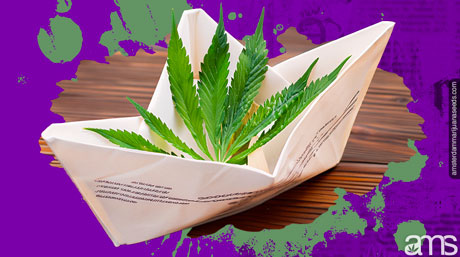 cannabisblad