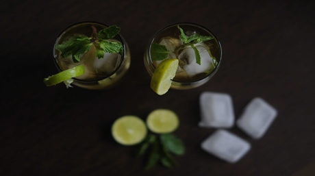 Ett platt lager av naturliga detoxingredienser som vanligtvis används för att spola ut THC från kroppen. Bilden inkluderar citronskivor, färska tranbär, ingefära, myntablad och grönt te – viktiga komponenter i effektiva detoxdrycker för marijuana.