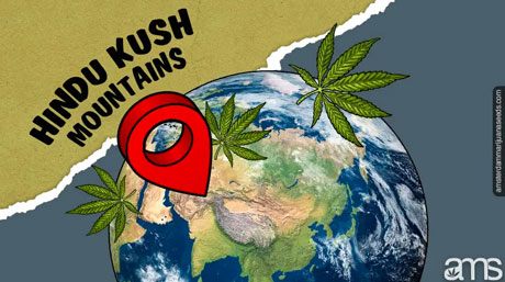 Kush'un orijinal konumu
