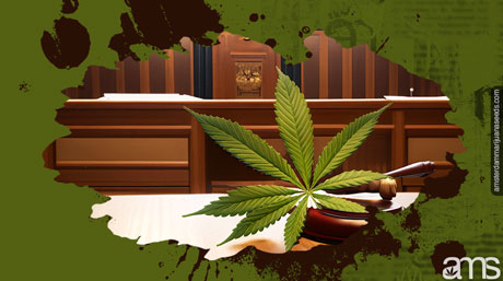 cannabisblad i rätten