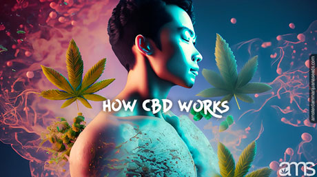 man pervaded by healing marijuana molecules and marijuana leaves