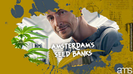 Amsterdam fröbank