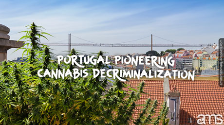 Portugal pioneering cannabis decriminalization view of the Lisbon in Portugal and cannabis plants