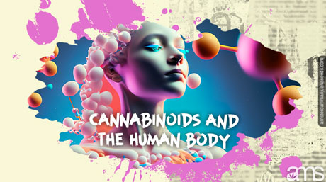 Woman pervaded by marijuana molecules