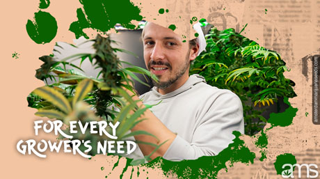 Des variétés AMS pour tous les besoins des producteurs