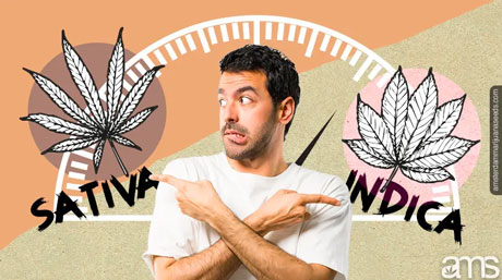 Kush Indica Esrar