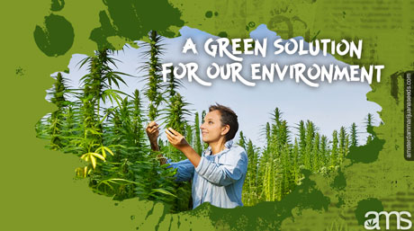 solution verte de chanvre industriel