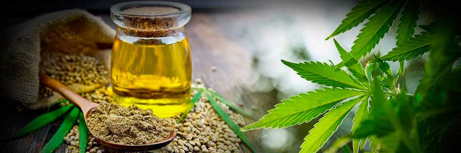 Cannabidiol CBD