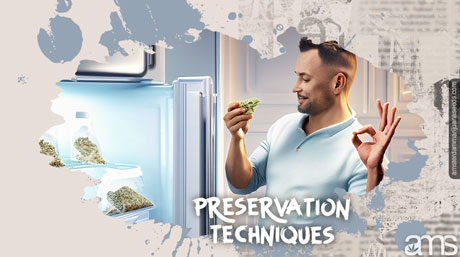 conservation du stockage des graines de cannabis