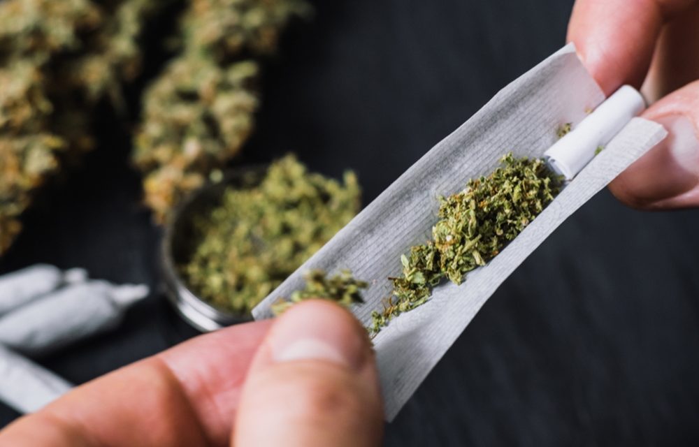 Cannabis in Latin America