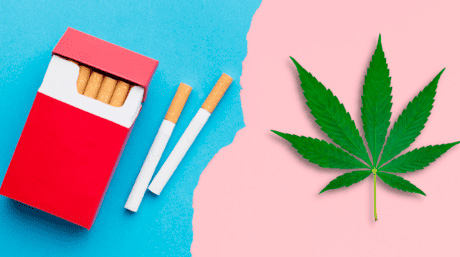 Cannabis et cigarettes