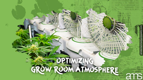 optimaliseren van de kweekruimte-atmosfeer Ventilatoren voor cannabisplanten