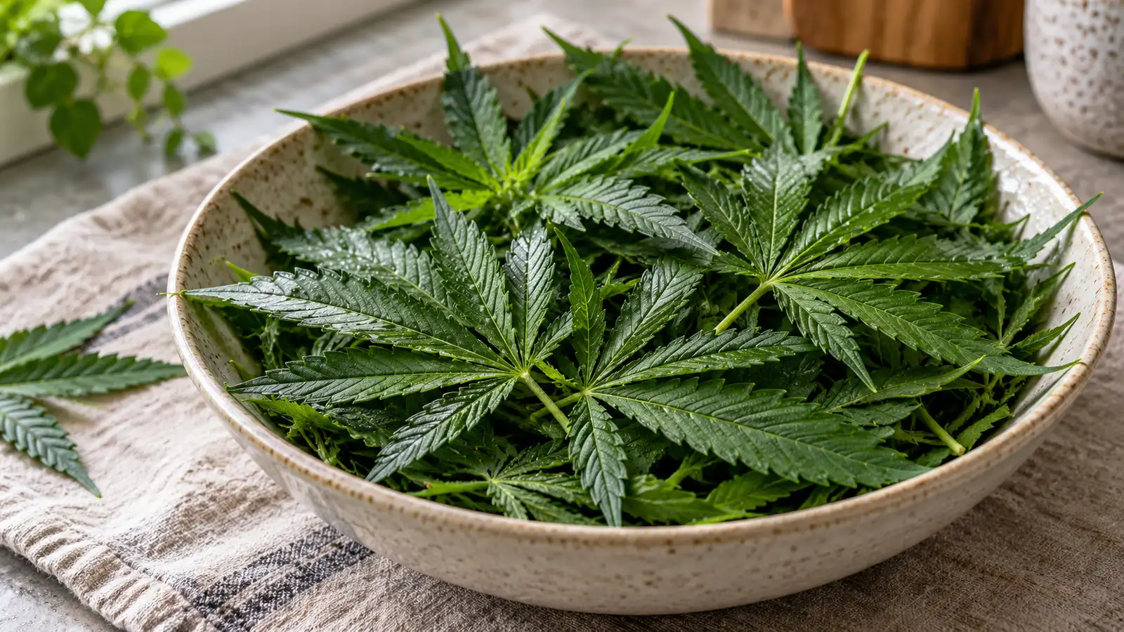 Fresh cannabis leaves with water droplets fill a shallow ceramic bowl on a kitchen counter.