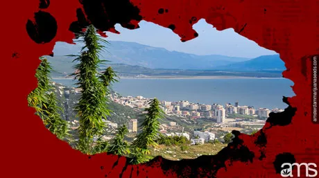 arnavutluk esrarın tıbbi ve endüstriyel kullanım amaçlı kullanımını yasallaştırdı