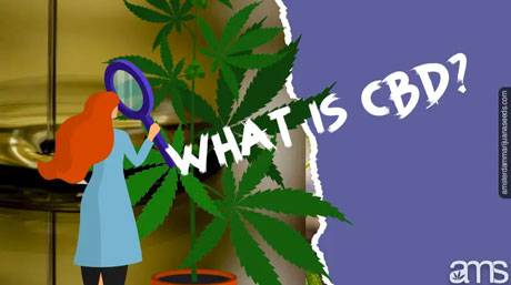 what is cbd