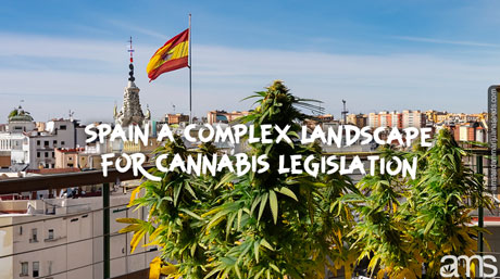 Spain the complex landscape for cannabis legislation view of Madrid in Spain and cannabis plants