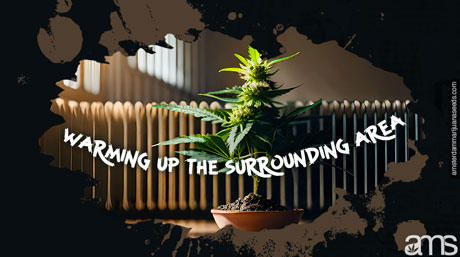 Marijuanaväxtvärme