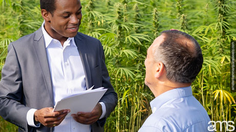 government explains land-use