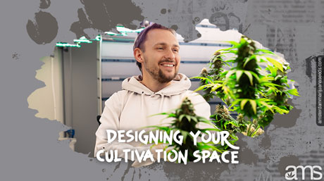 Anbaufläche für Cannabisanbau