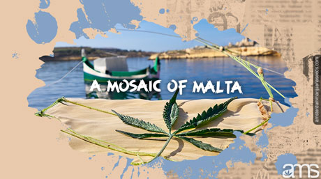 Cannabis maltais Malte