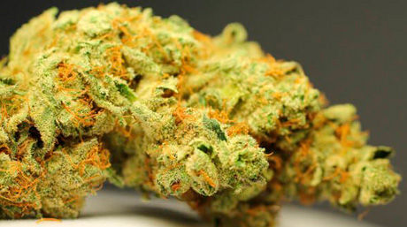 Allemagne Cannabis