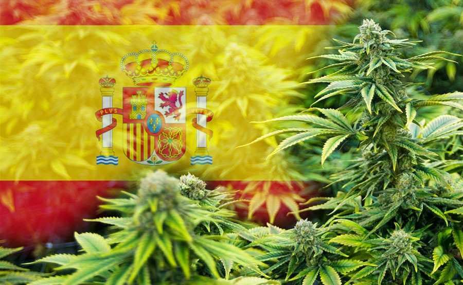marijuana médicale Espagne