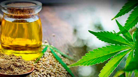 Consultez notre blog sur CannaHoney !